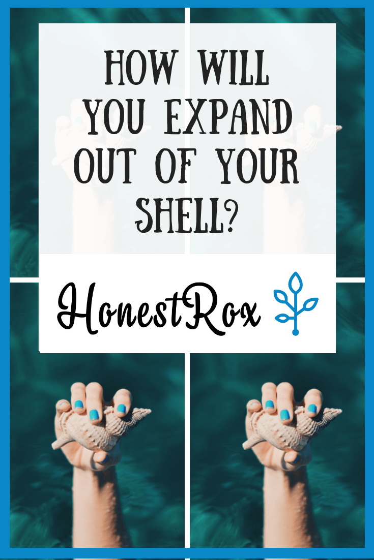 how-will-you-expand-out-of-your-shell-honestrox